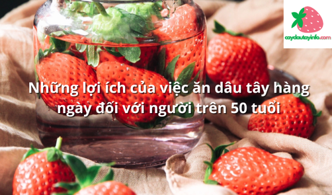 Những lợi ích của việc ăn dâu tây hàng ngày đối với người trên 50 tuổi