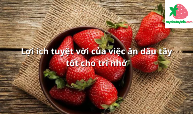 Lợi ích tuyệt vời của việc ăn dâu tây tốt cho trí nhớ