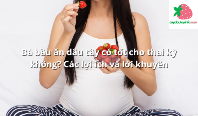 Bà bầu ăn dâu tây có tốt cho thai kỳ không? Các lợi ích và lời khuyên