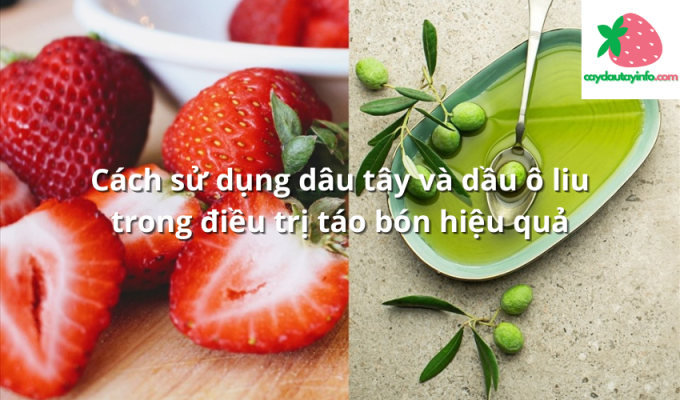 Cách sử dụng dâu tây và dầu ô liu trong điều trị táo bón hiệu quả