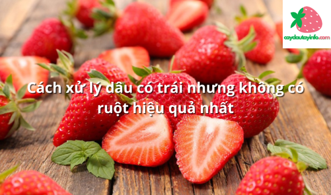 Cách xử lý dâu có trái nhưng không có ruột hiệu quả nhất