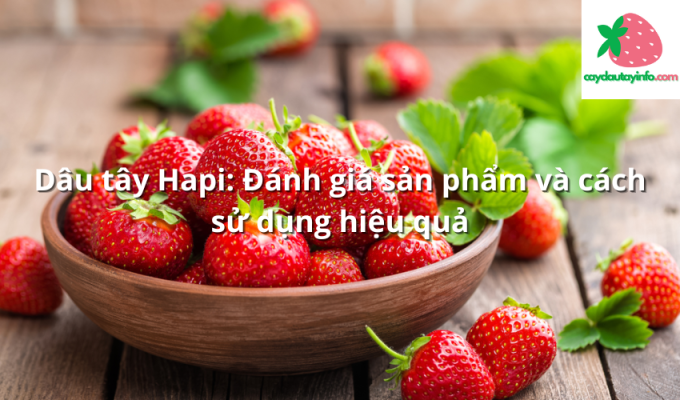 Dâu tây Hapi: Đánh giá sản phẩm và cách sử dụng hiệu quả