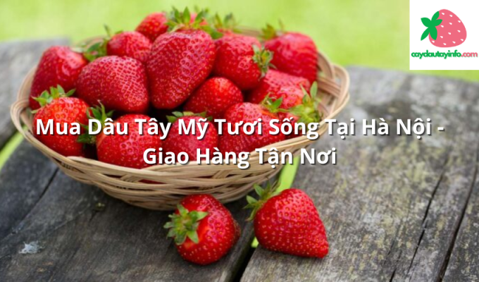 Mua Dâu Tây Mỹ Tươi Sống Tại Hà Nội - Giao Hàng Tận Nơi