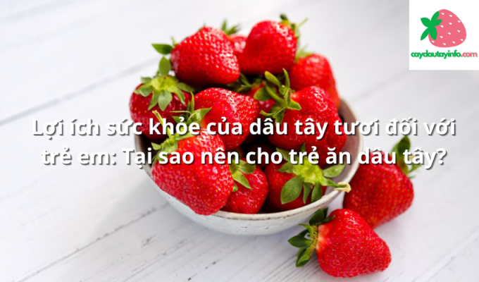 Lợi ích sức khỏe của dâu tây tươi đối với trẻ em: Tại sao nên cho trẻ ăn dâu tây?