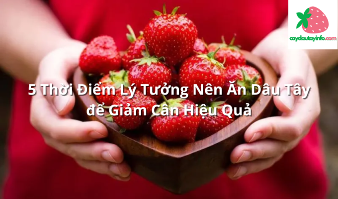 5 Thời Điểm Lý Tưởng Nên Ăn Dâu Tây để Giảm Cân Hiệu Quả